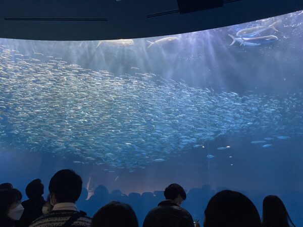 名古屋港水族館