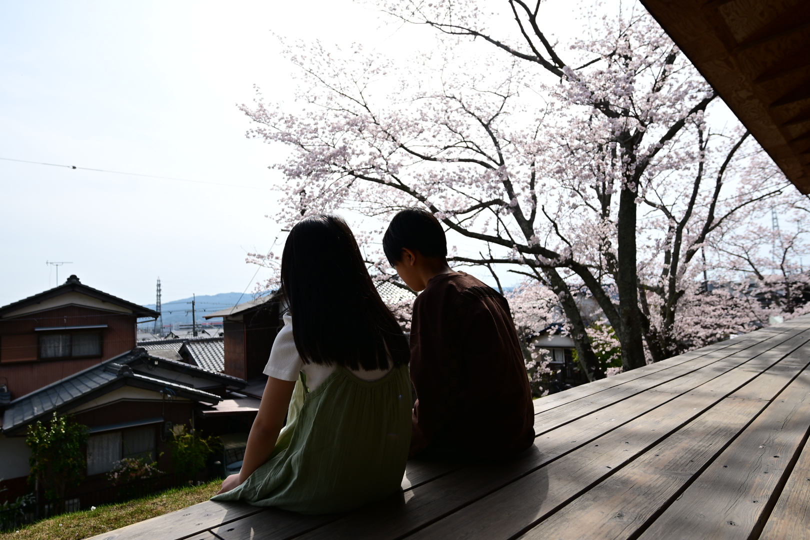 滋賀県甲賀市で桜を見る子供