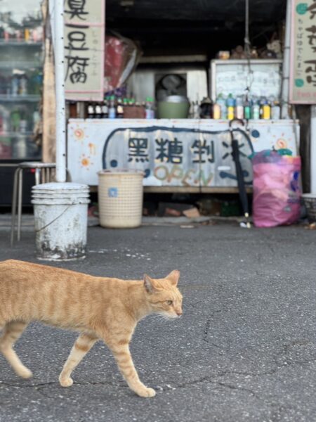台湾