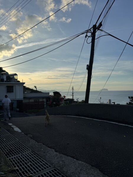 台湾