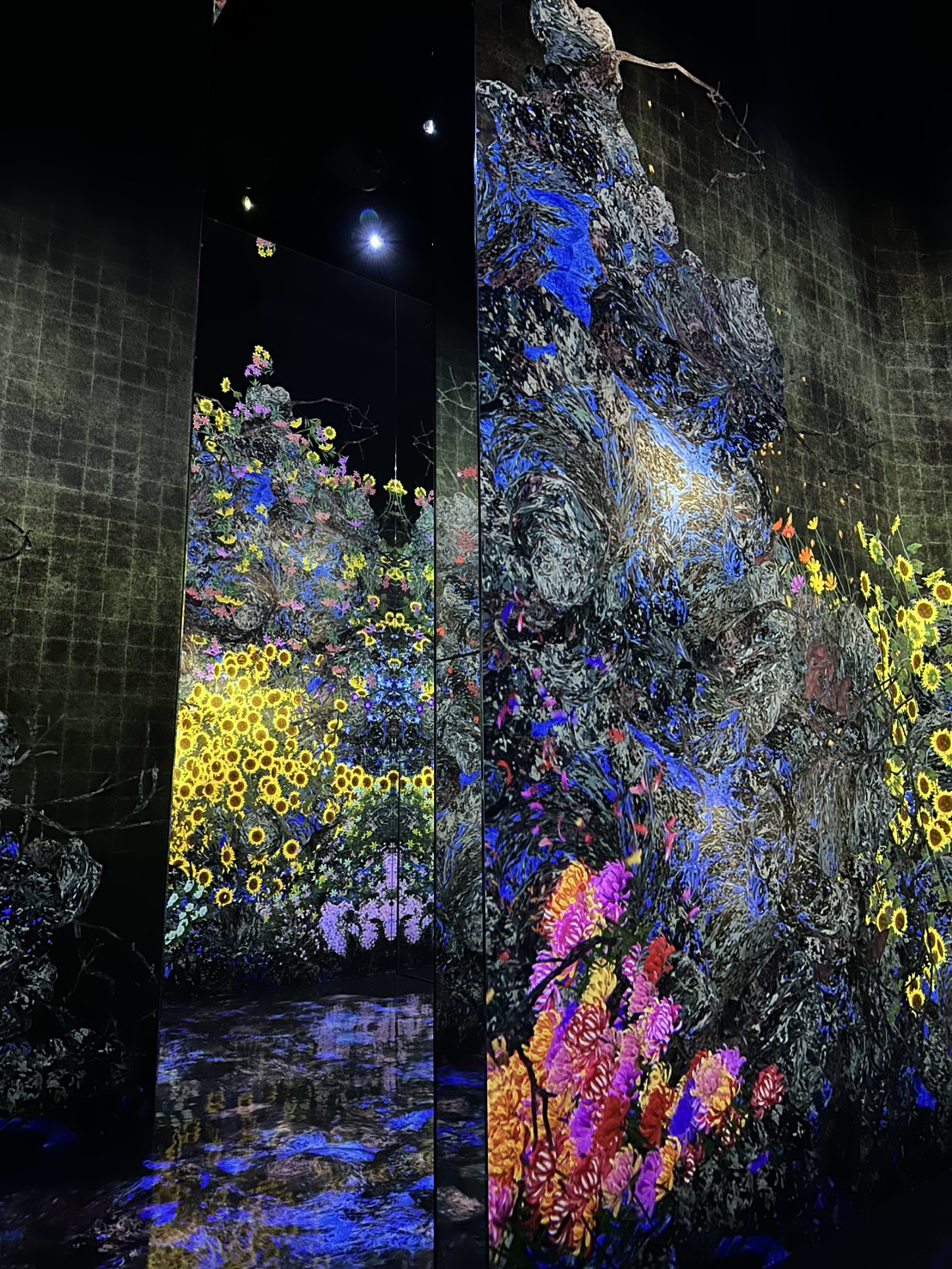 チームラボ バイオヴォルテックス 京都