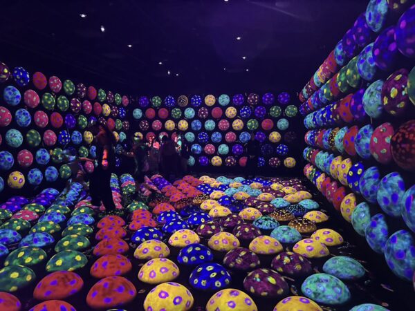 チームラボ バイオヴォルテックス 京都