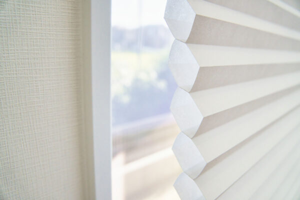 ハニカムブラインド
