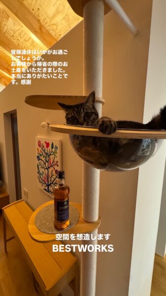 ねこ