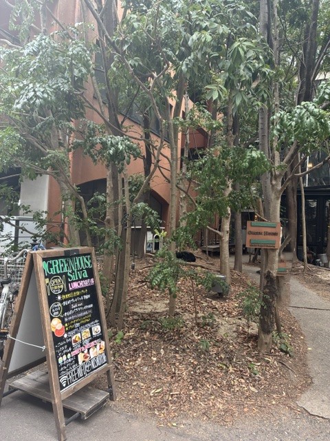 GREEN HOUSE Silva