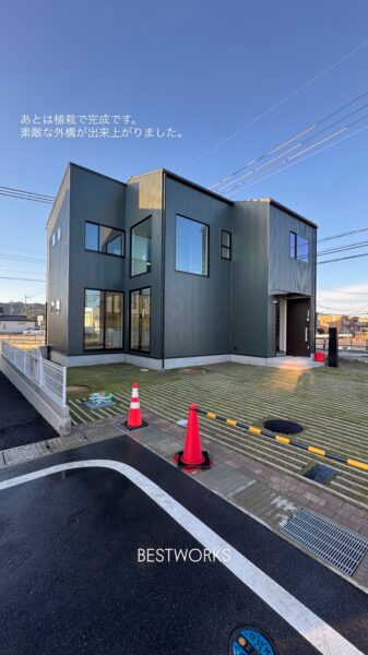八日市18号地
