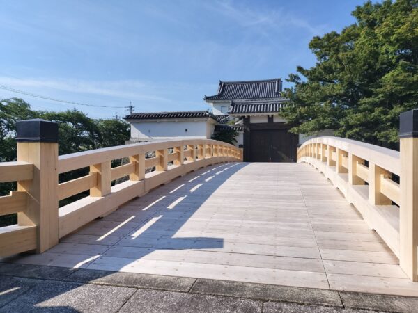 水口城